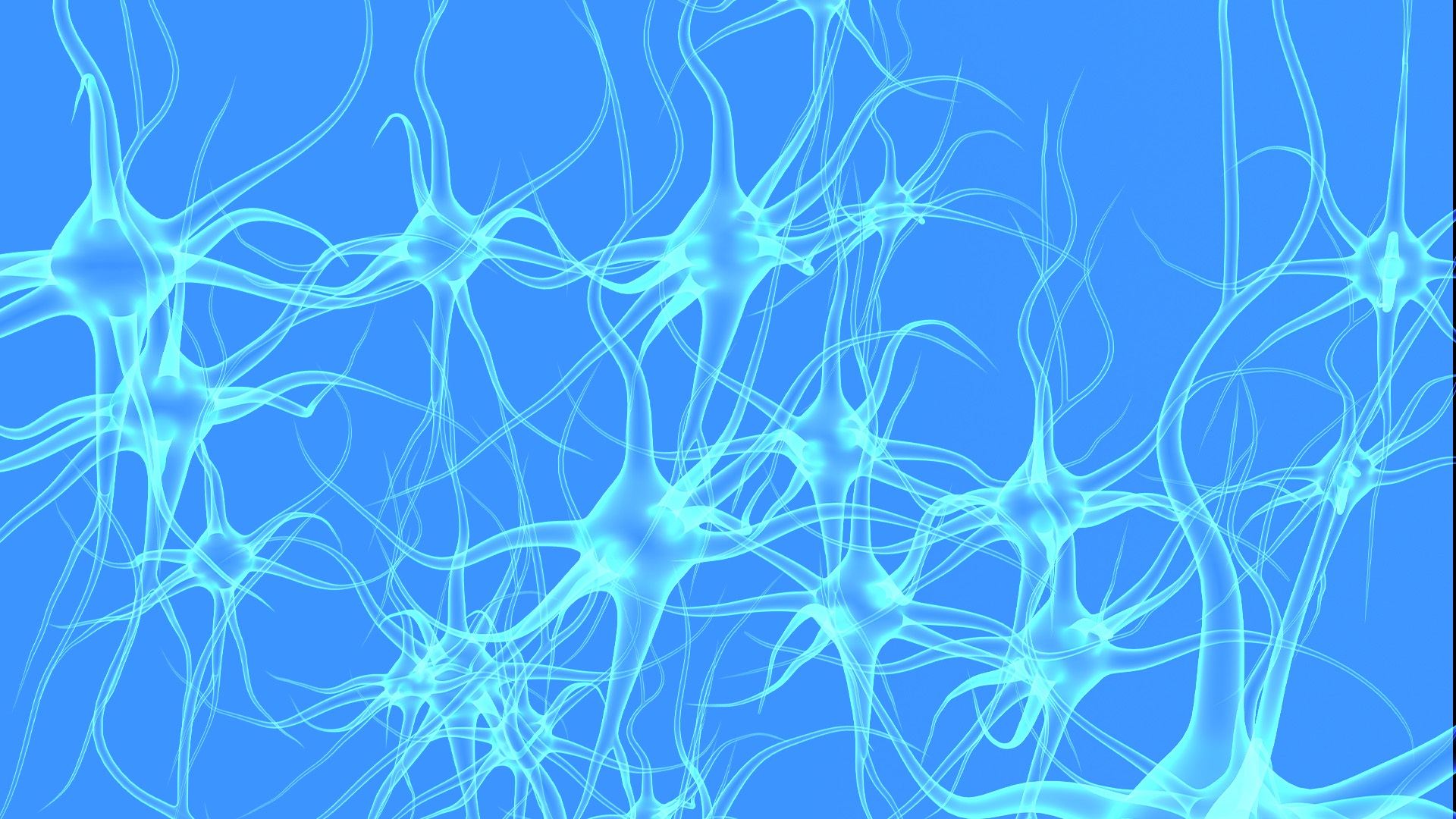 AI-Op1