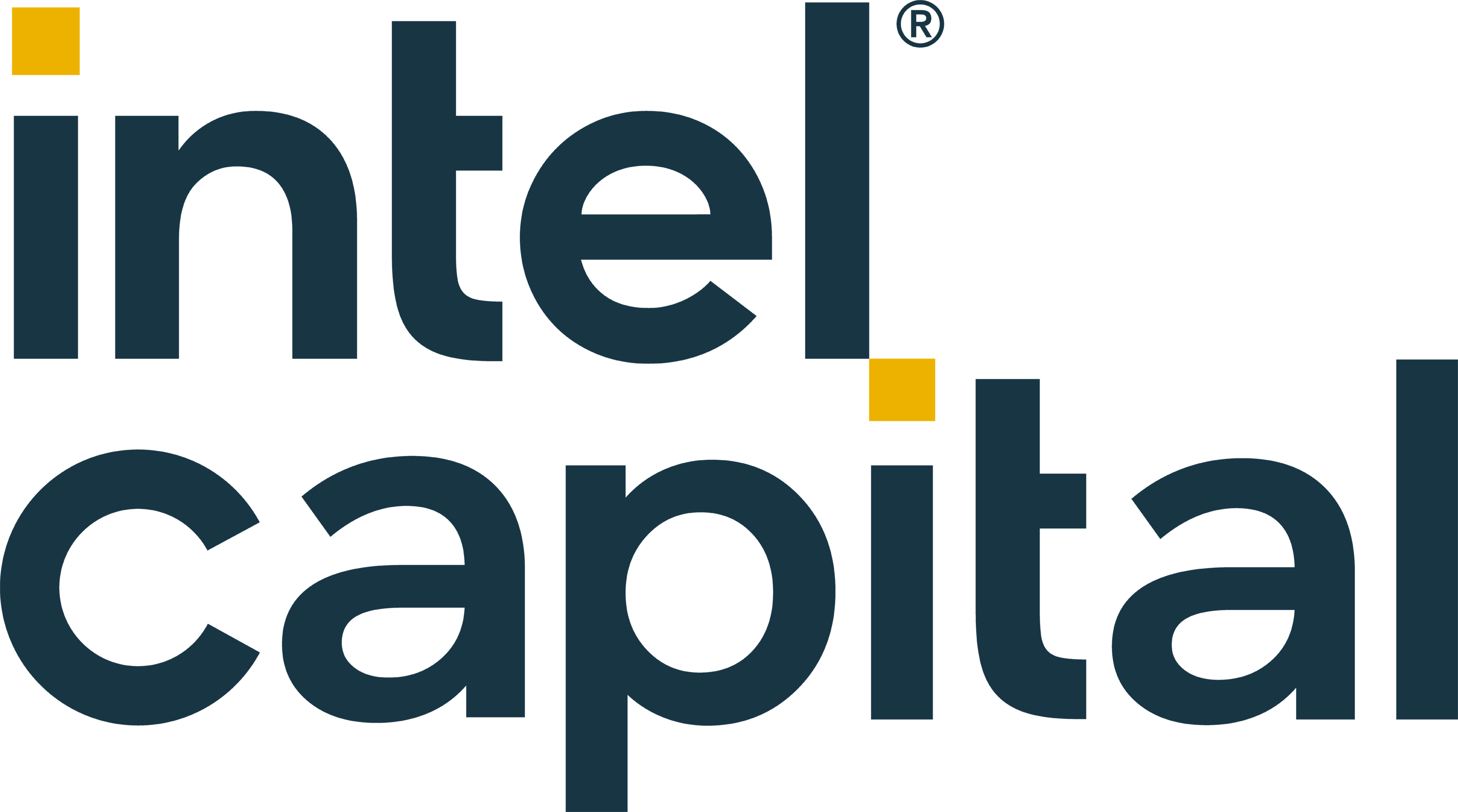 Intel Capital Logo