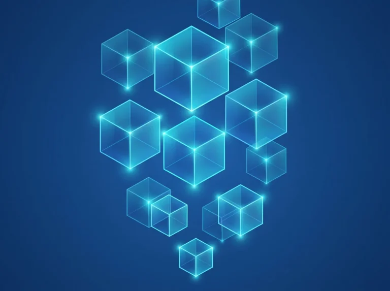 What Is a Bug Bounty Program?