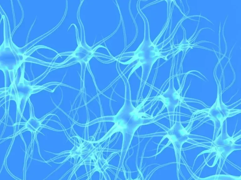 What Is Human + AI Validation?
