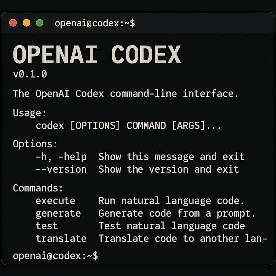 OpenAI Codex command-line interface help output