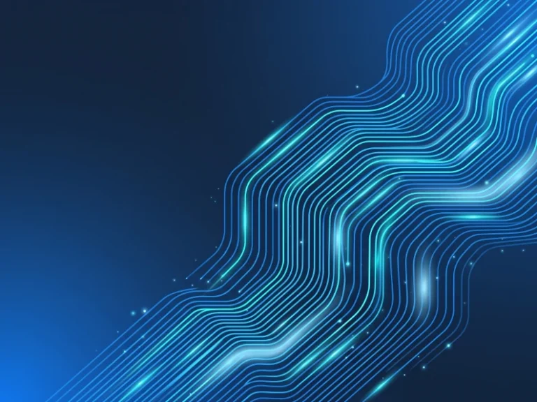 What Is a Vulnerability Disclosure Program?