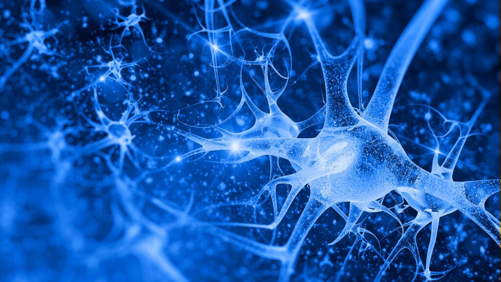 A network of neurons to represent the network of AI and how to secure it.