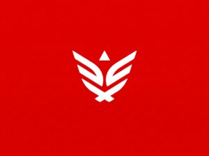 Synack Red Team