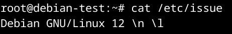 Checking the Debian release in /etc/issue on the test VM